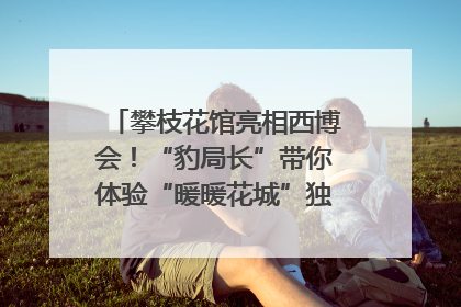 攀枝花馆亮相西博会！“豹局长”带你体验“暖暖花城”独特魅力｜西博视界