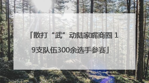 散打“武”动陆家嘴商圈 19支队伍300余选手参赛