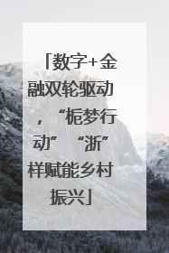 数字+金融双轮驱动，“栀梦行动”“浙”样赋能乡村振兴
