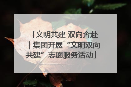 文明共建 双向奔赴｜集团开展“文明双向共建”志愿服务活动