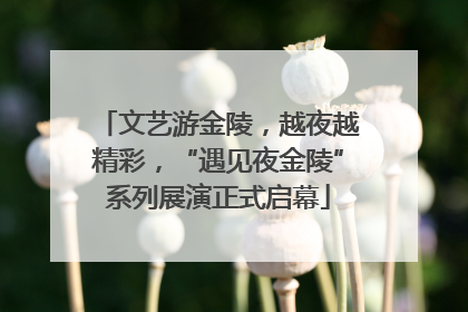 文艺游金陵，越夜越精彩，“遇见夜金陵”系列展演正式启幕