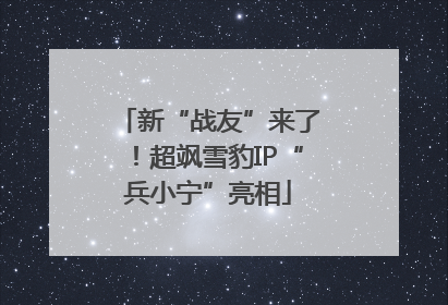 新“战友”来了！超飒雪豹IP“兵小宁”亮相