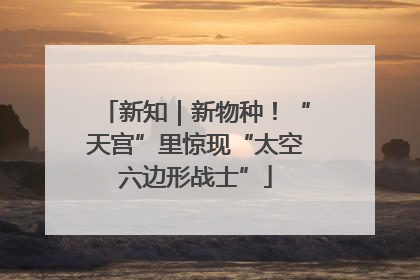 新知｜新物种！“天宫”里惊现“太空六边形战士”