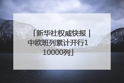 新华社权威快报｜中欧班列累计开行110000列