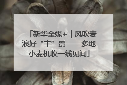 新华全媒+｜风吹麦浪好“丰”景——多地小麦机收一线见闻