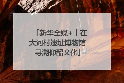 新华全媒+丨在大河村遗址博物馆寻溯仰韶文化