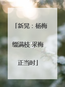 新晃：杨梅缀满枝 采梅正当时