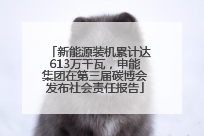 新能源装机累计达613万千瓦，申能集团在第三届碳博会发布社会责任报告