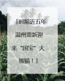 时隔近五年 温州重新迎来“国宝”大熊猫！