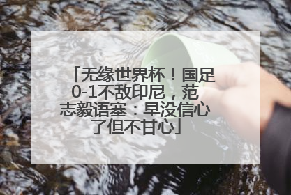 无缘世界杯！国足0-1不敌印尼，范志毅语塞：早没信心了但不甘心
