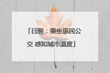 日照：乘坐惠民公交 感知城市温度
