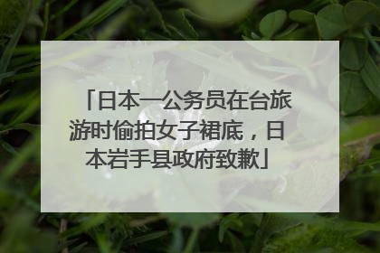日本一公务员在台旅游时偷拍女子裙底，日本岩手县政府致歉