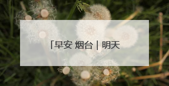 早安 烟台｜明天上线！自驾游绿牌车可以乘船过海了