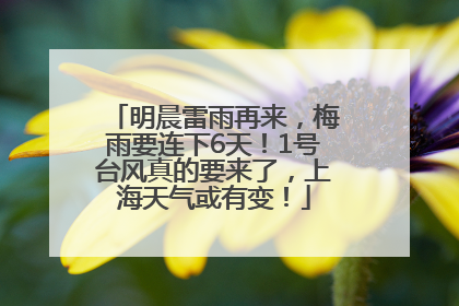 明晨雷雨再来，梅雨要连下6天！1号台风真的要来了，上海天气或有变！