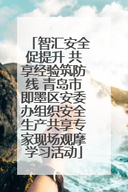 智汇安全促提升 共享经验筑防线 青岛市即墨区安委办组织安全生产共享专家现场观摩学习活动