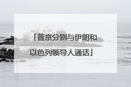 普京分别与伊朗和以色列领导人通话