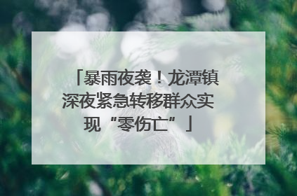 暴雨夜袭！龙潭镇深夜紧急转移群众实现“零伤亡”