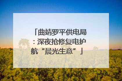 曲靖罗平供电局：深夜抢修复电护航“晨光生意”
