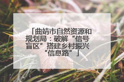 曲靖市自然资源和规划局：破解“信号盲区”搭建乡村振兴“信息路”