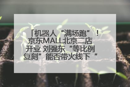 机器人“满场跑”！京东MALL北京二店开业 刘强东“等比例复刻”能否带火线下“618”？
