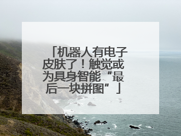 机器人有电子皮肤了！触觉或为具身智能“最后一块拼图”
