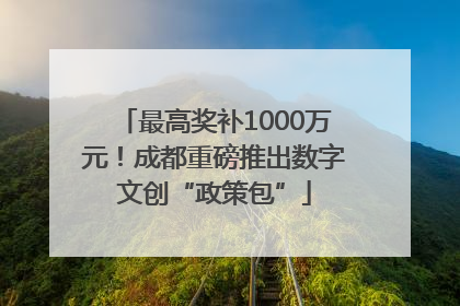 最高奖补1000万元！成都重磅推出数字文创“政策包”