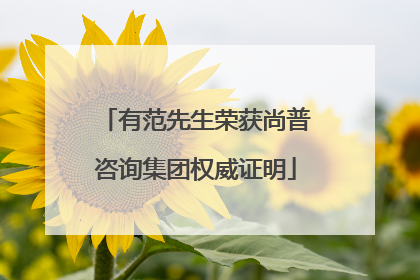 有范先生荣获尚普咨询集团权威证明