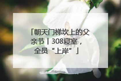 朝天门梯坎上的父亲节丨308寝室，全员“上岸”