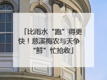 比雨水“跑”得更快！慈溪梅农与天争“鲜”忙抢收