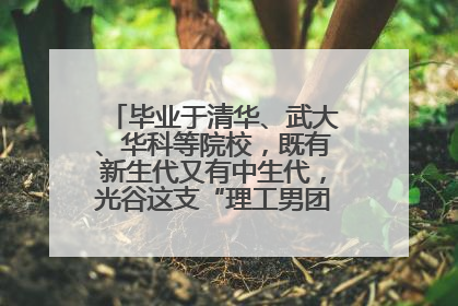 毕业于清华、武大、华科等院校，既有新生代又有中生代，光谷这支“理工男团”为何“出道”？