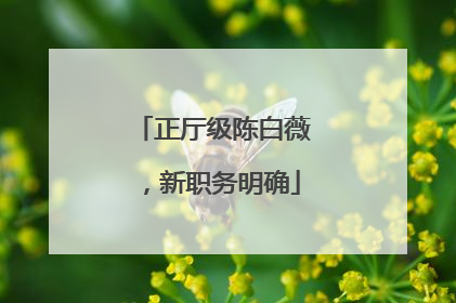 正厅级陈白薇，新职务明确