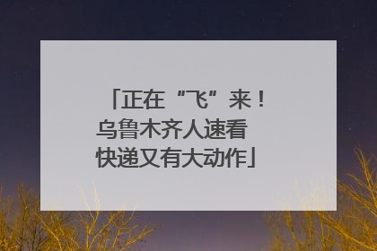 正在“飞”来！乌鲁木齐人速看 快递又有大动作