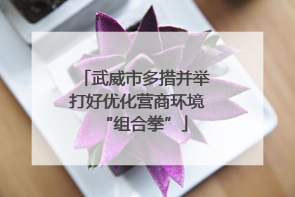 武威市多措并举打好优化营商环境“组合拳”