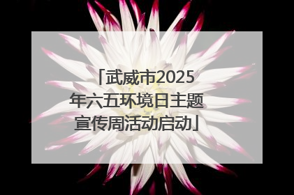 武威市2025年六五环境日主题宣传周活动启动