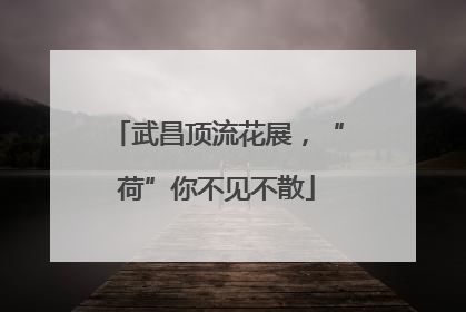 武昌顶流花展，“荷”你不见不散