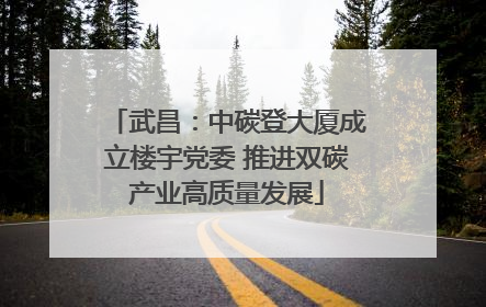 武昌：中碳登大厦成立楼宇党委 推进双碳产业高质量发展