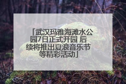 武汉玛雅海滩水公园7日正式开园 后续将推出夏浪音乐节等精彩活动
