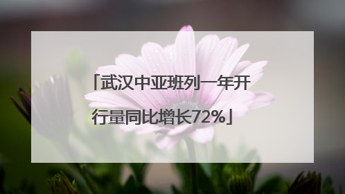 武汉中亚班列一年开行量同比增长72%