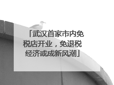 武汉首家市内免税店开业，免退税经济或成新风潮
