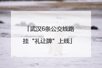 武汉6条公交线路挂“礼让牌”上线