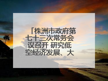 株洲市政府第七十三次常务会议召开 研究低空经济发展、大抓落实等工作