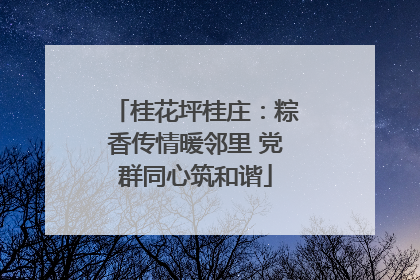 桂花坪桂庄：粽香传情暖邻里 党群同心筑和谐