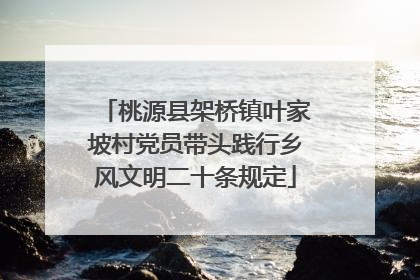 桃源县架桥镇叶家坡村党员带头践行乡风文明二十条规定