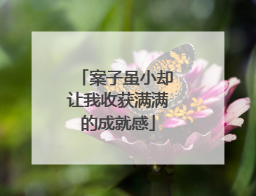 案子虽小却让我收获满满的成就感