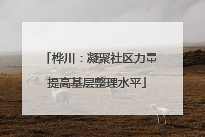 桦川：凝聚社区力量 提高基层整理水平