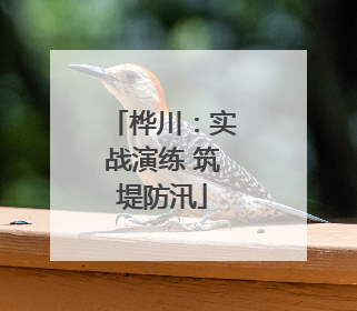 桦川：实战演练 筑堤防汛