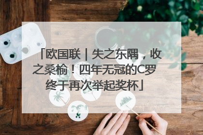 欧国联｜失之东隅，收之桑榆！四年无冠的C罗终于再次举起奖杯