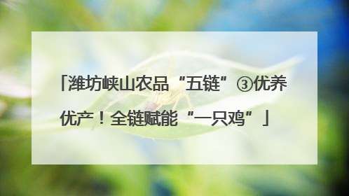 潍坊峡山农品“五链”③优养优产！全链赋能“一只鸡”