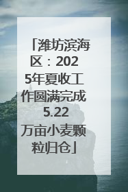 潍坊滨海区：2025年夏收工作圆满完成 5.22万亩小麦颗粒归仓