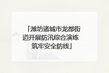潍坊诸城市龙都街道开展防汛综合演练 筑牢安全防线